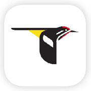 Merlin Bird ID App